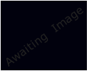 Awaiting Image
